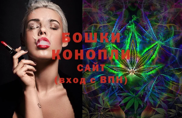 винт Инсар