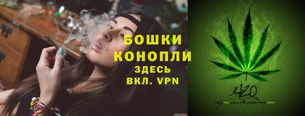 ешки Иннополис