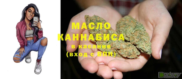 ешки Иннополис