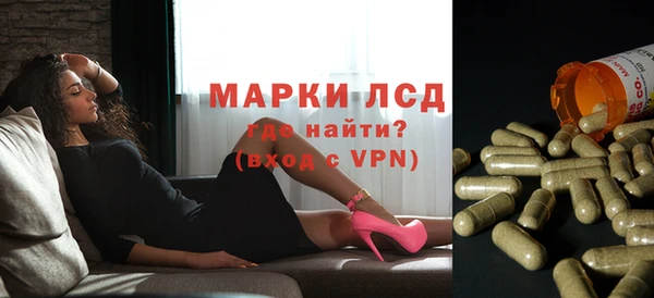 тгк Инта