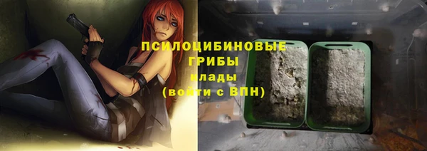 винт Инсар