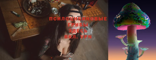 винт Инсар