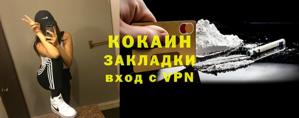 винт Инсар