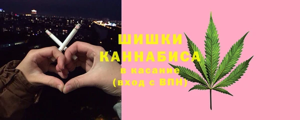 винт Инсар