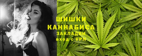 тгк Инта
