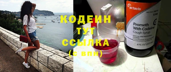 ешки Иннополис