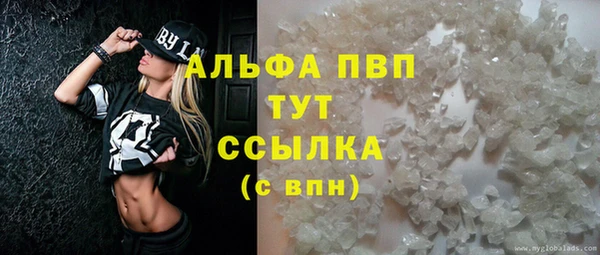 тгк Инта