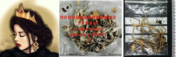 винт Инсар