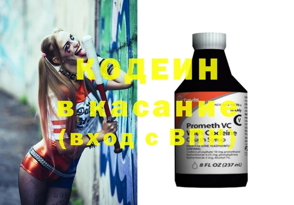 тгк Инта