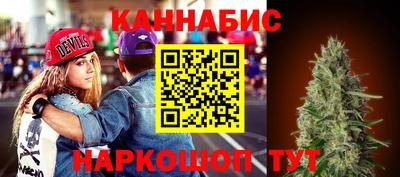 a pvp Гатчина