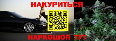 a pvp Гатчина