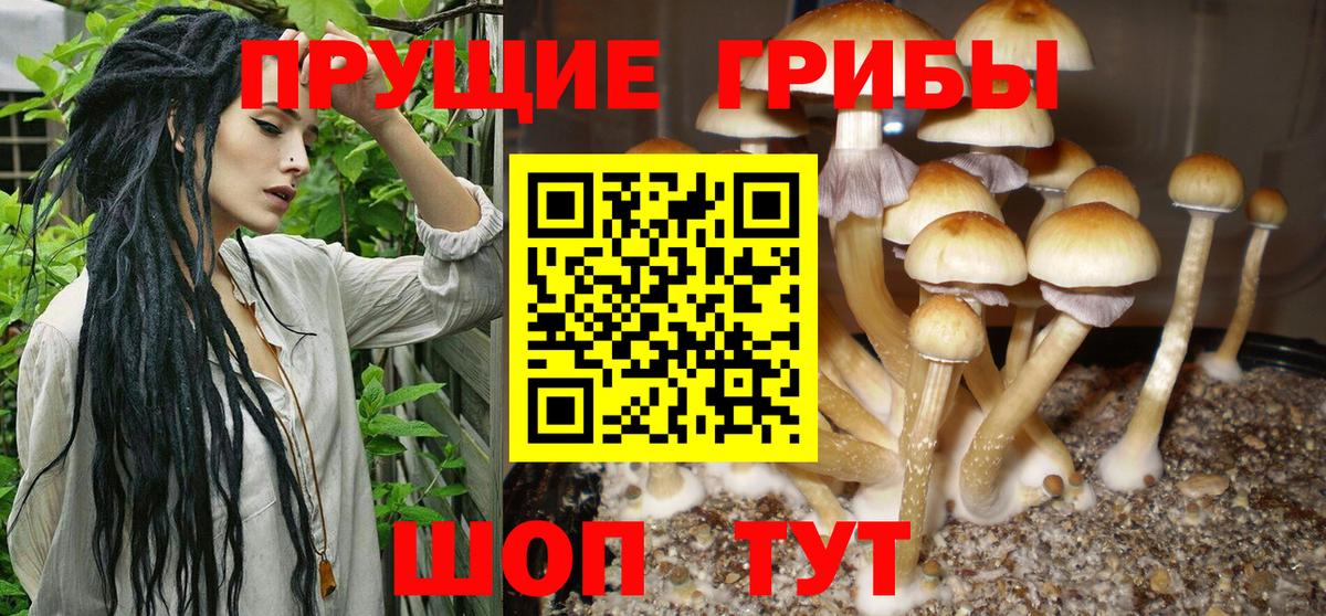 Псилоцибиновые грибы мухоморы  Вход с VPN  Камышлов 